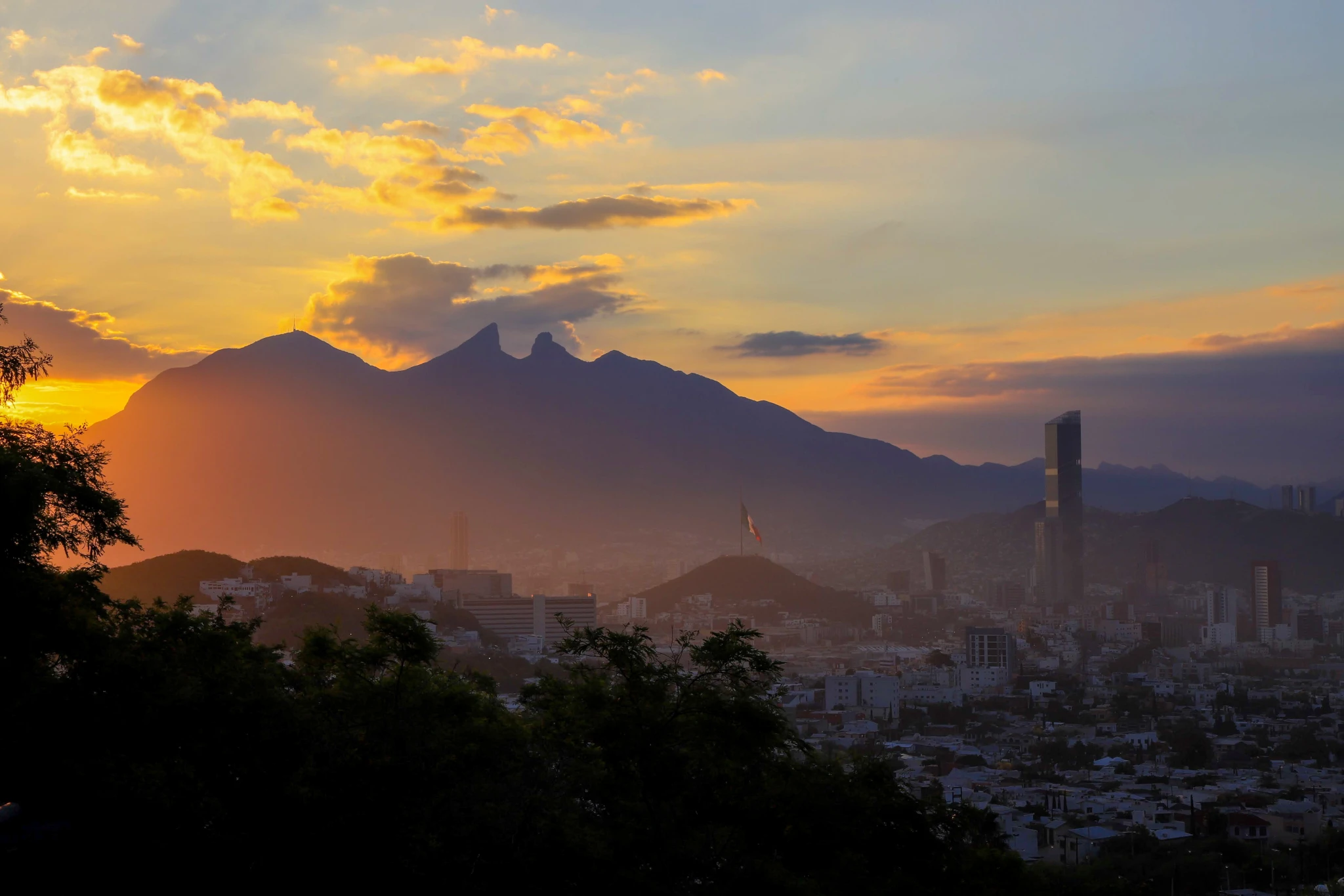 Flete local Monterrey Muvit Flete local Monterrey Muvit